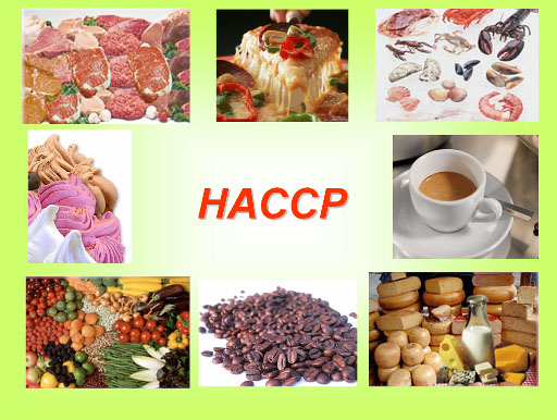 haccp1